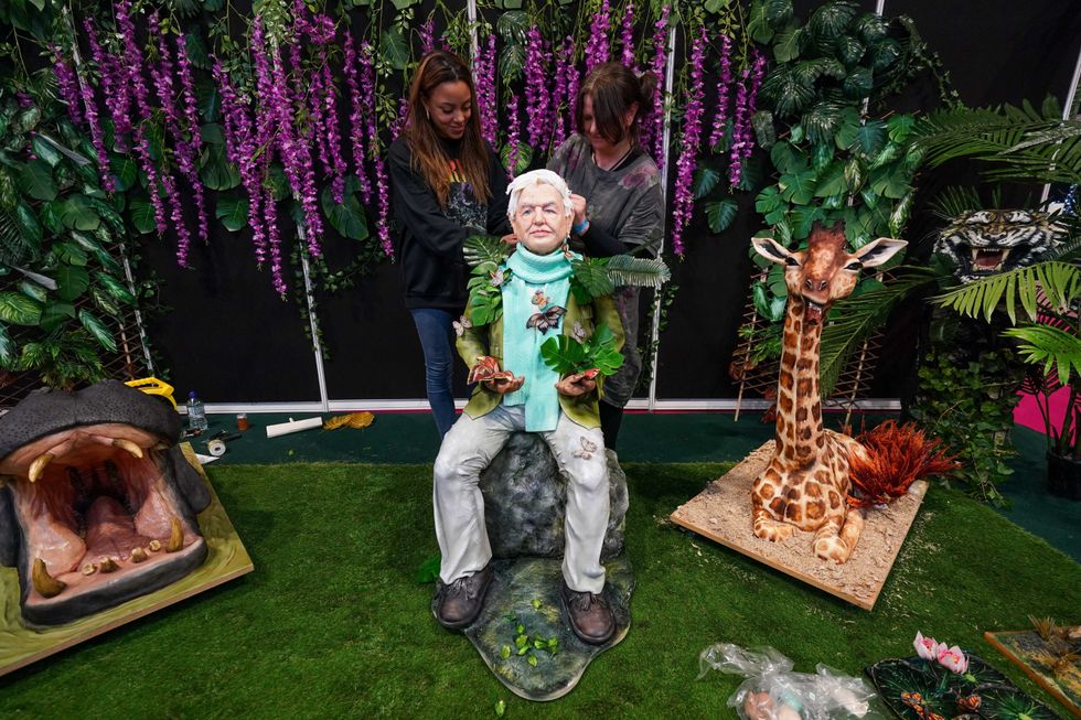 The cake of Sir David is surrounded by nature (Jacob King/PA)