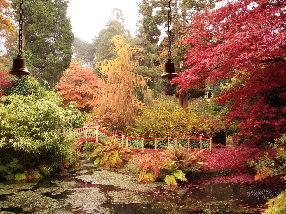 The China Garden in autumn at Biddulph Grange Garden. (National Trust images)