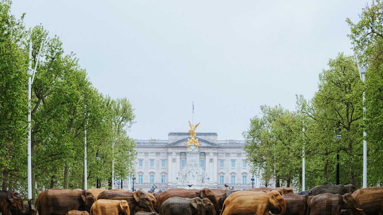 The CoExistence campaign on the Mall