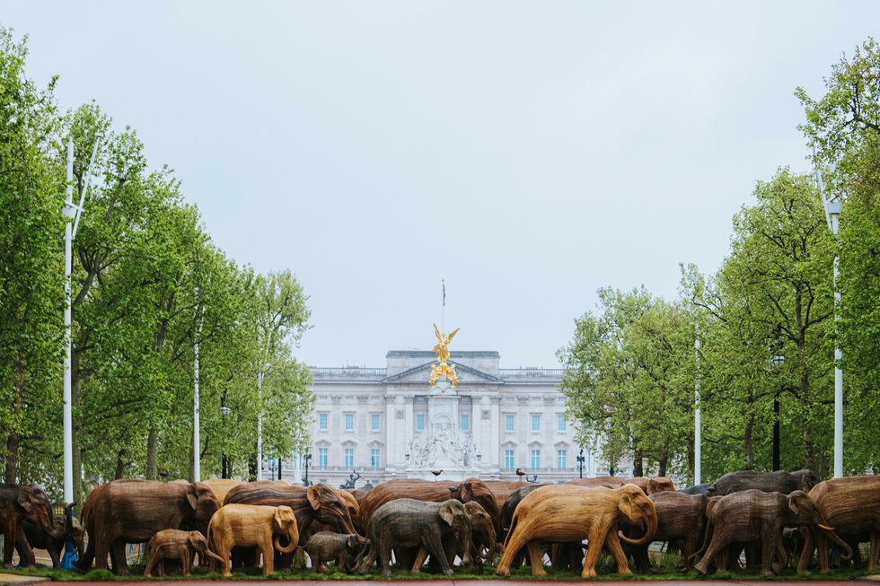 The CoExistence campaign on the Mall