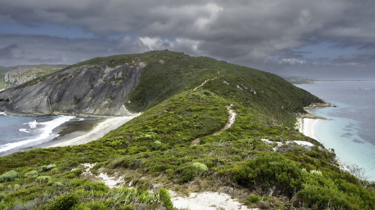 Scientists discover remnants of lost continent that was once part of Australia