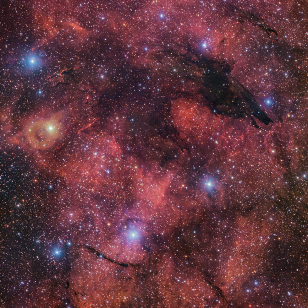 The Dark Wolf nebula is in the shape of a wolf