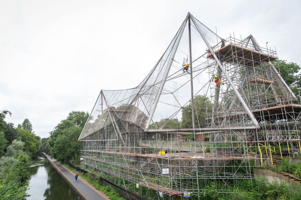 The demeshing of the Snowdon Aviary at London Zoo (Zoological Society of London)