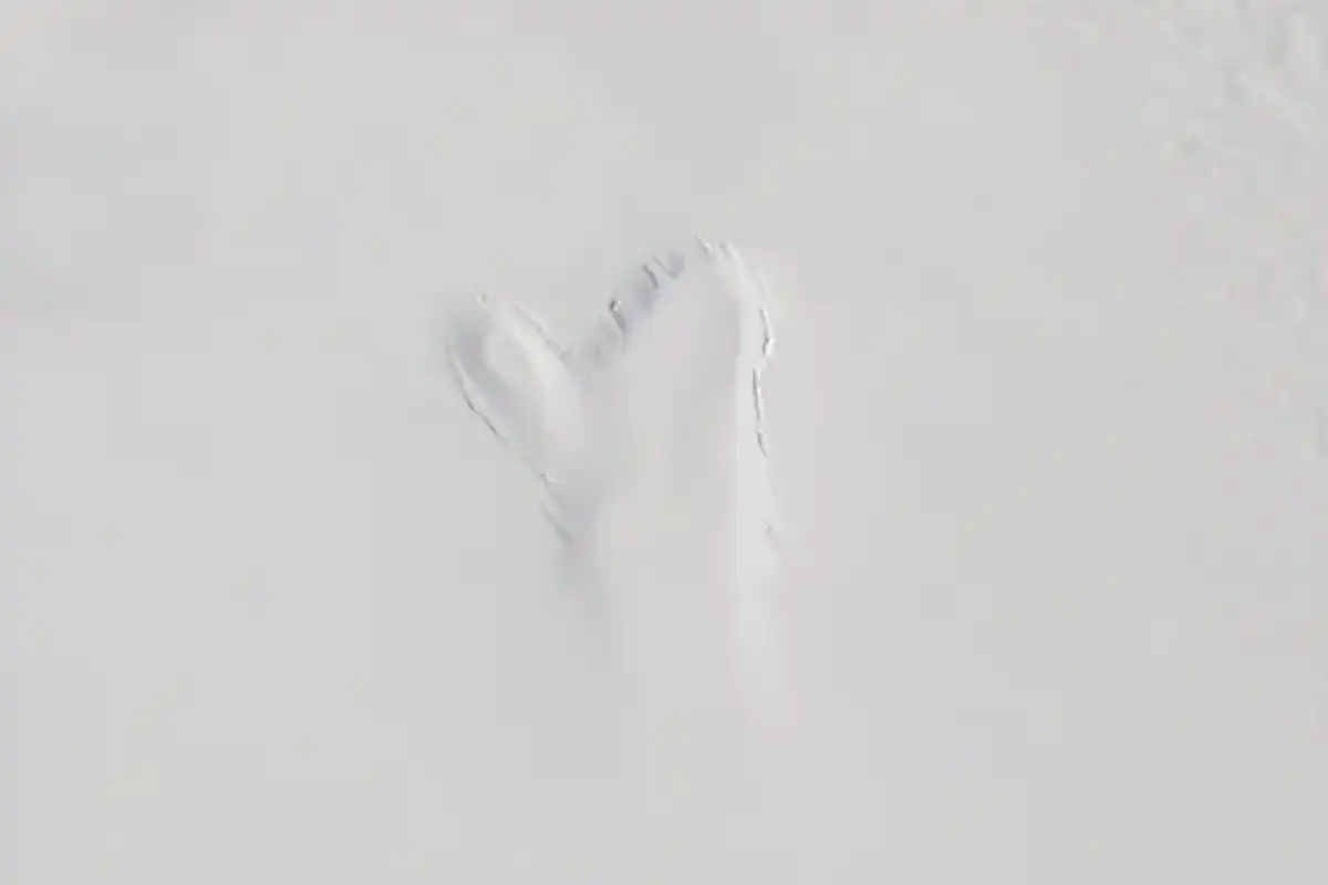 The depression left by the collapse of a subglacial lake in Greenland, which is now known as 'the mitten"