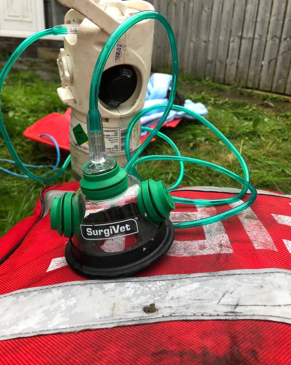 The device was used to save the unconscious pet