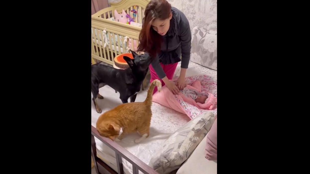 Person forced into making 'minimal noise' at home because of their neighbour's newborn baby