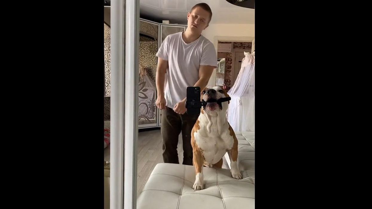 Couple slammed for stopping neighbours' children playing in garden because it annoys their dog