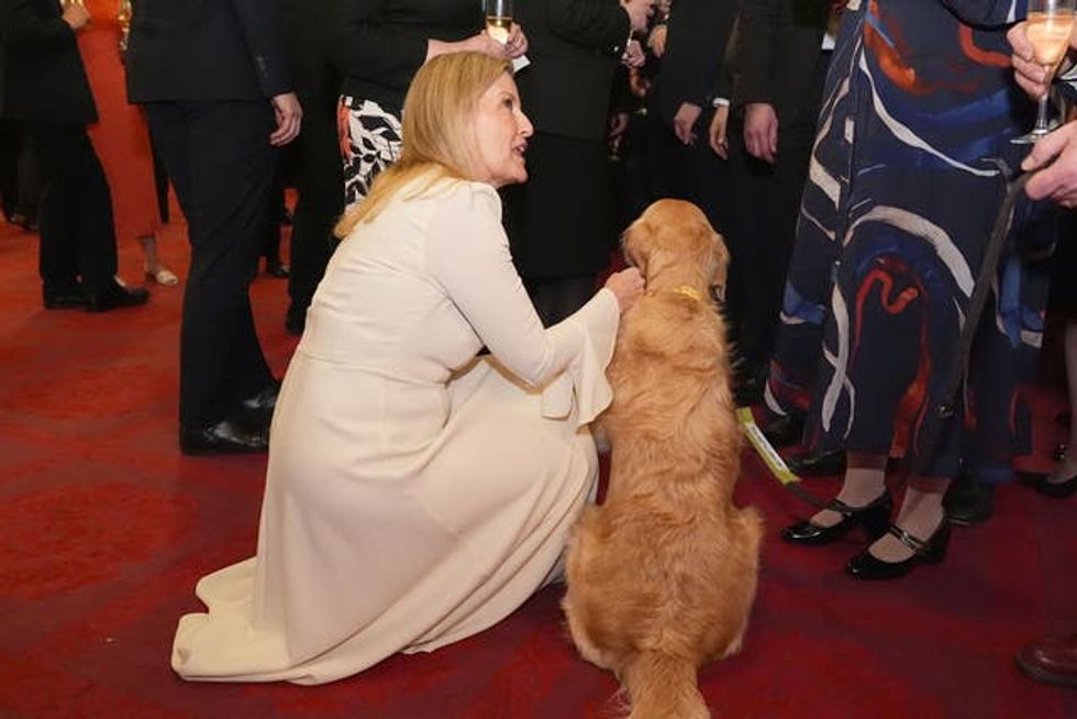 The Duchess of Edinburgh crouches down with Liberal Democrat MP Steve Darling\u2019s golden retriever guide dog Jennie at Buckingham Palace as she looks up to talk to guests