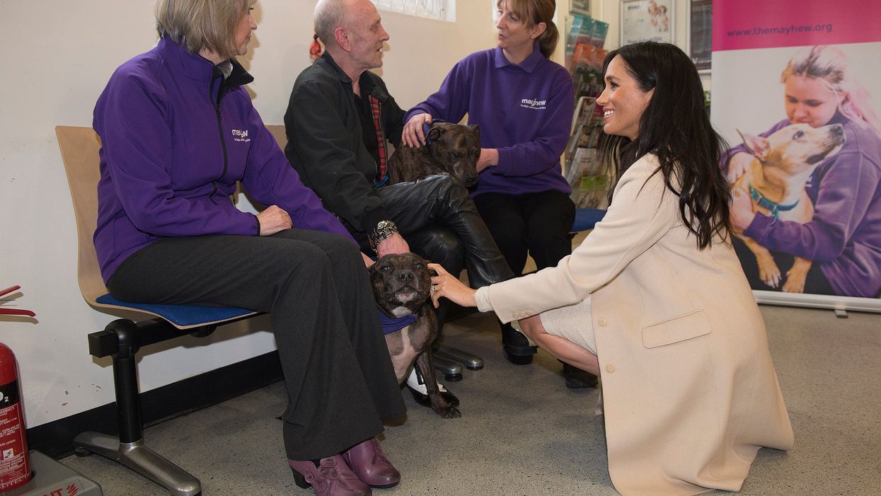 The Duchess of Sussex meets Wully Struthers and his staffies Azzy and Gallis during a visit to animal welfare charity Mayhew