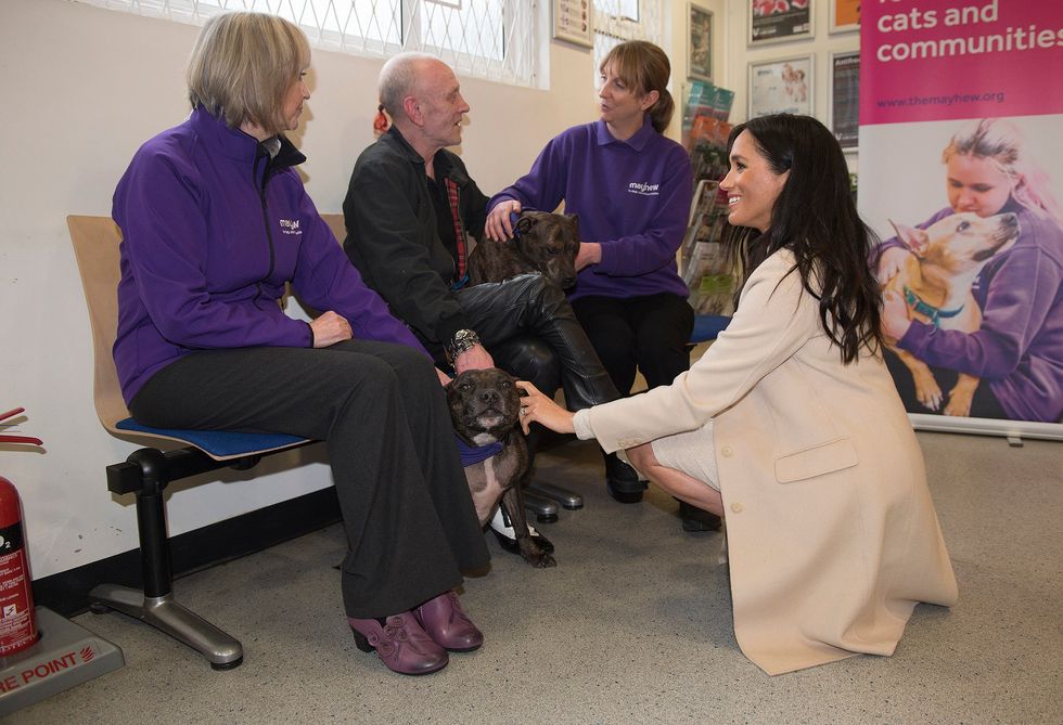 The Duchess of Sussex meets Wully Struthers and his staffies Azzy and Gallis during a visit to animal welfare charity Mayhew