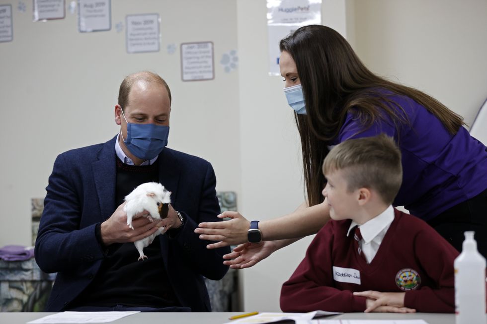 The Duke of Cambridge handles Gus the guinea pig (Adrian Dennis/PA)
