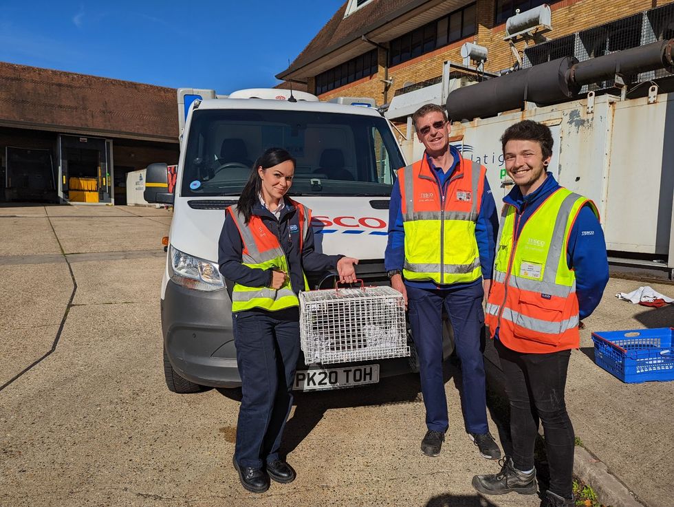 The female pup was rescued from inside the engine compartment of a Tesco delivery van. (RSPCA/ PA)
