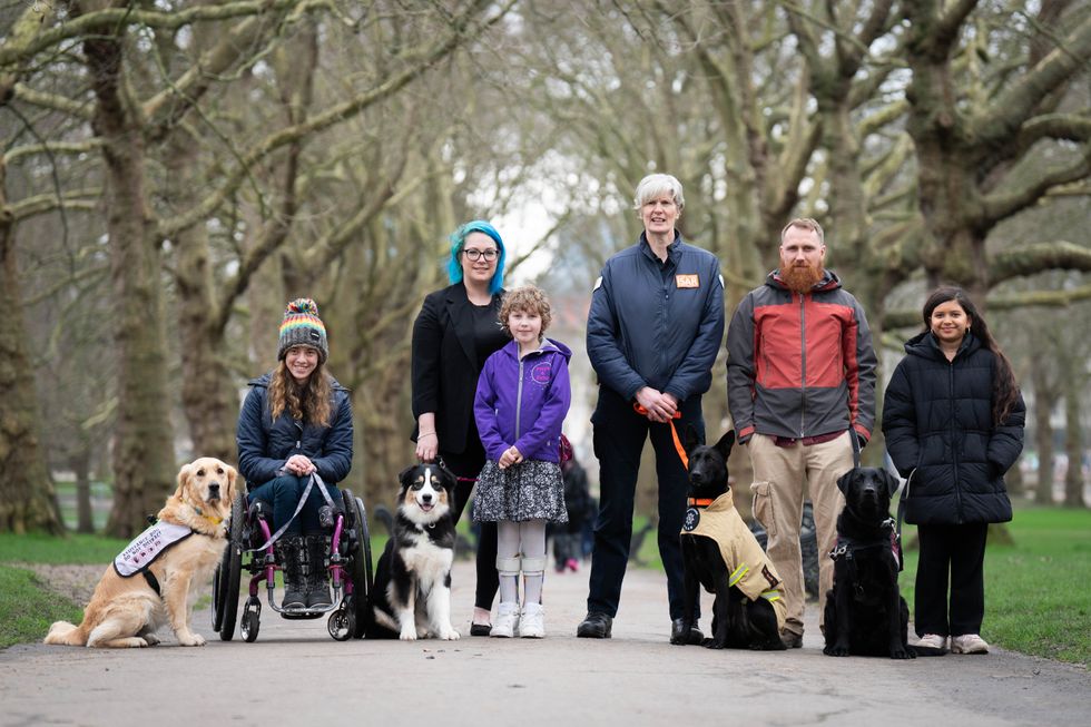 Vote open to public to crown UK’s most heroic dog in Crufts award