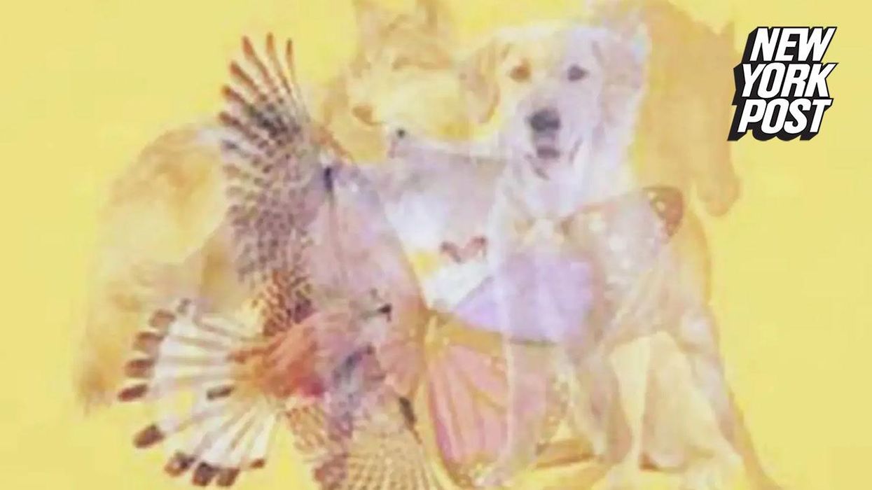 If you can spot 7 people in this image then apparently you have a high IQ