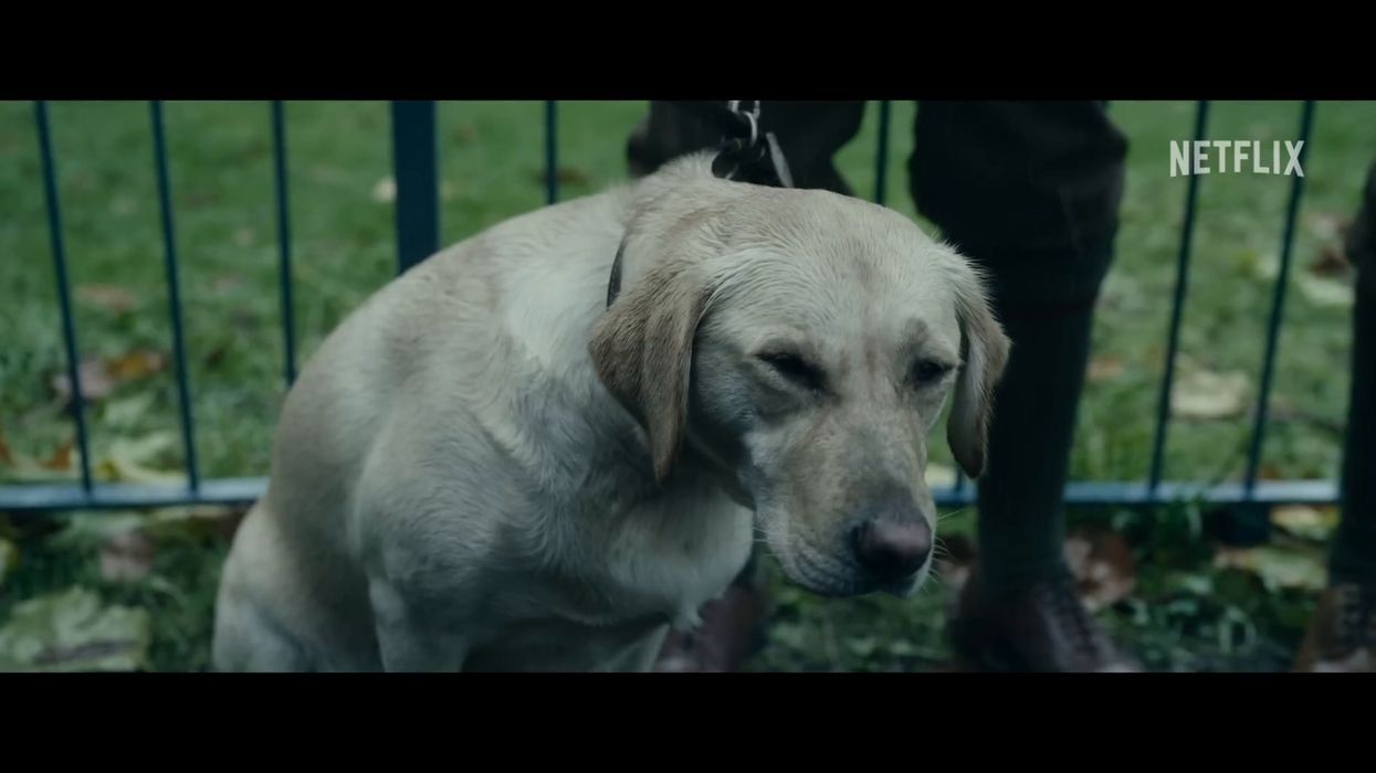 Netflix viewers are convinced The Gentlemen star should be the next James Bond