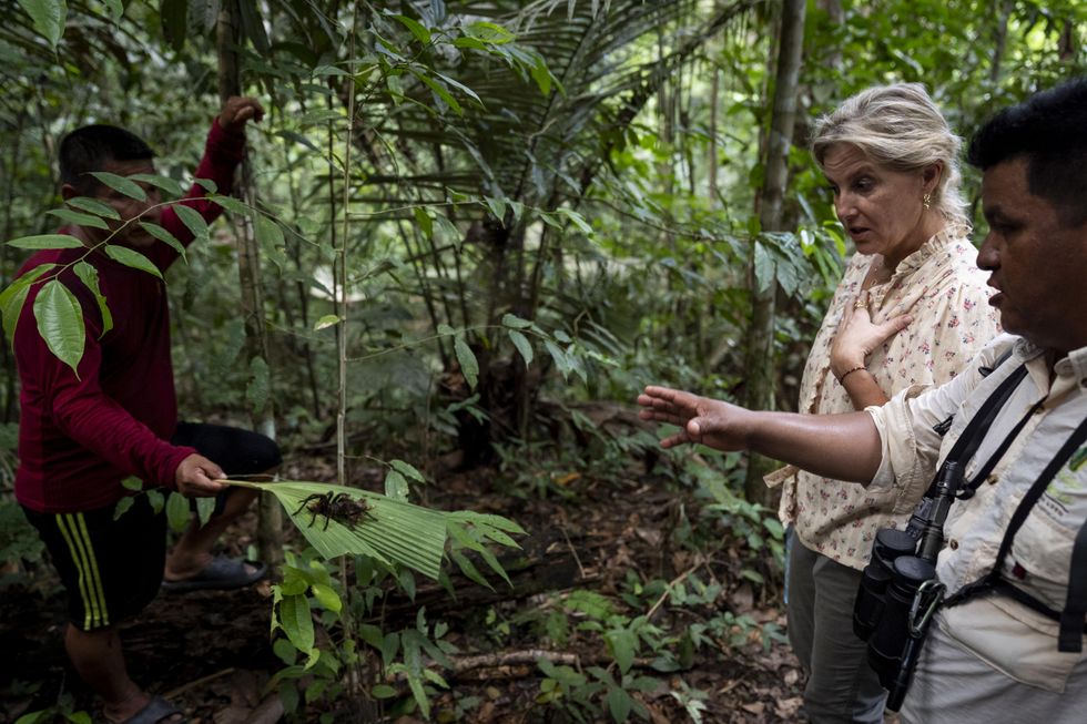 Sophie encounters ‘king of spiders’ on jungle trek in Peru