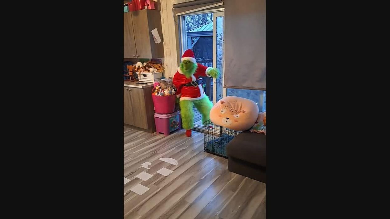 Fans spot major editing mistake in Grinch movie