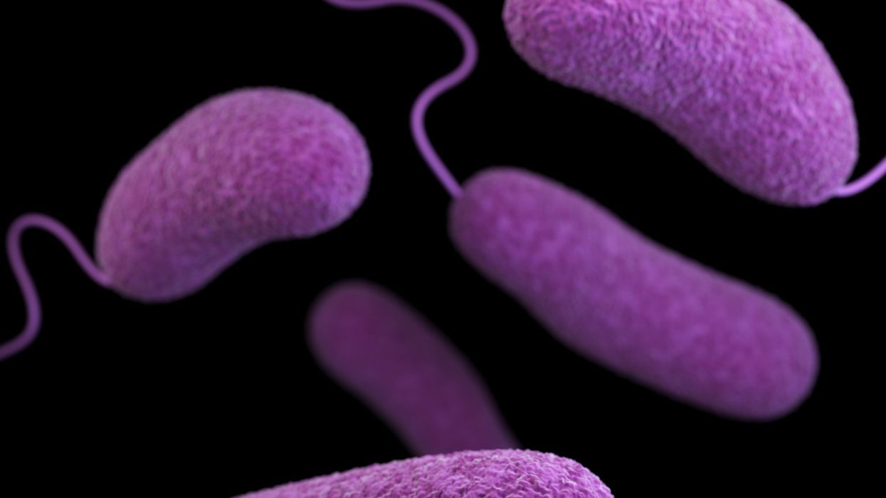 The hidden 'brain eating' danger of jumping into unclean water