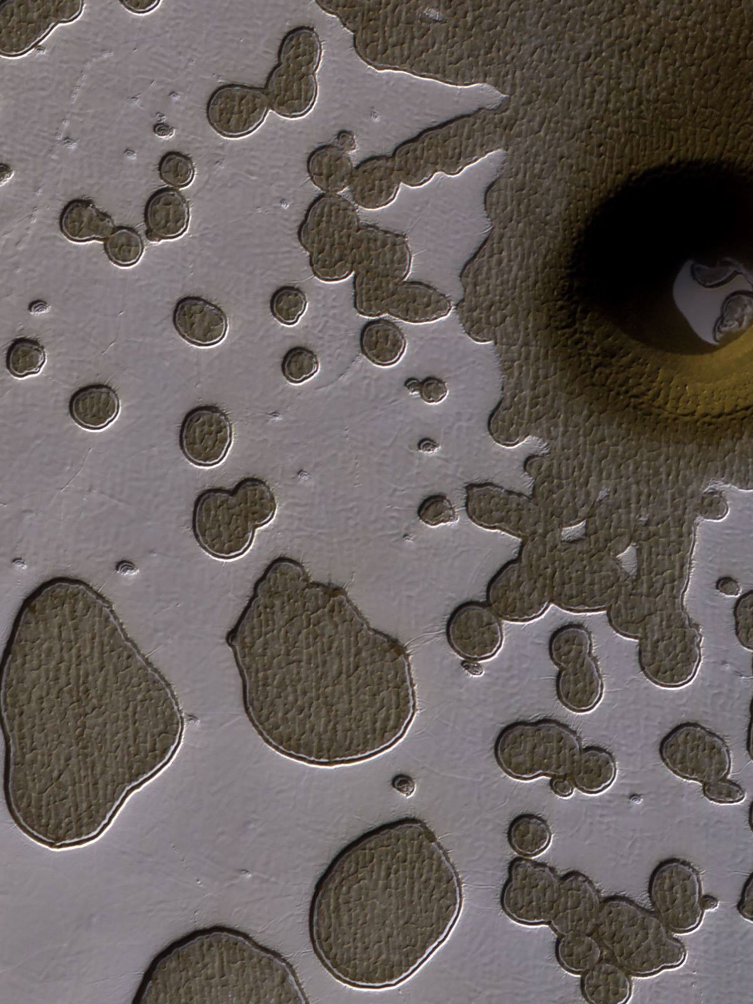 A whole new world of alien life could be accessed through a 'portal' discovered on Mars