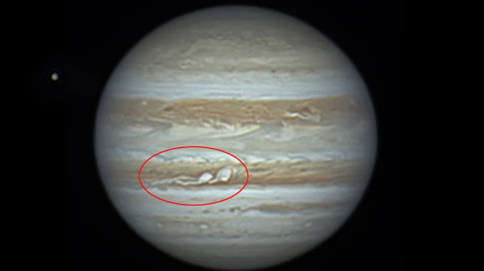 The image shows two white marks in Jupiter's South Equatorial Belt which are brown.