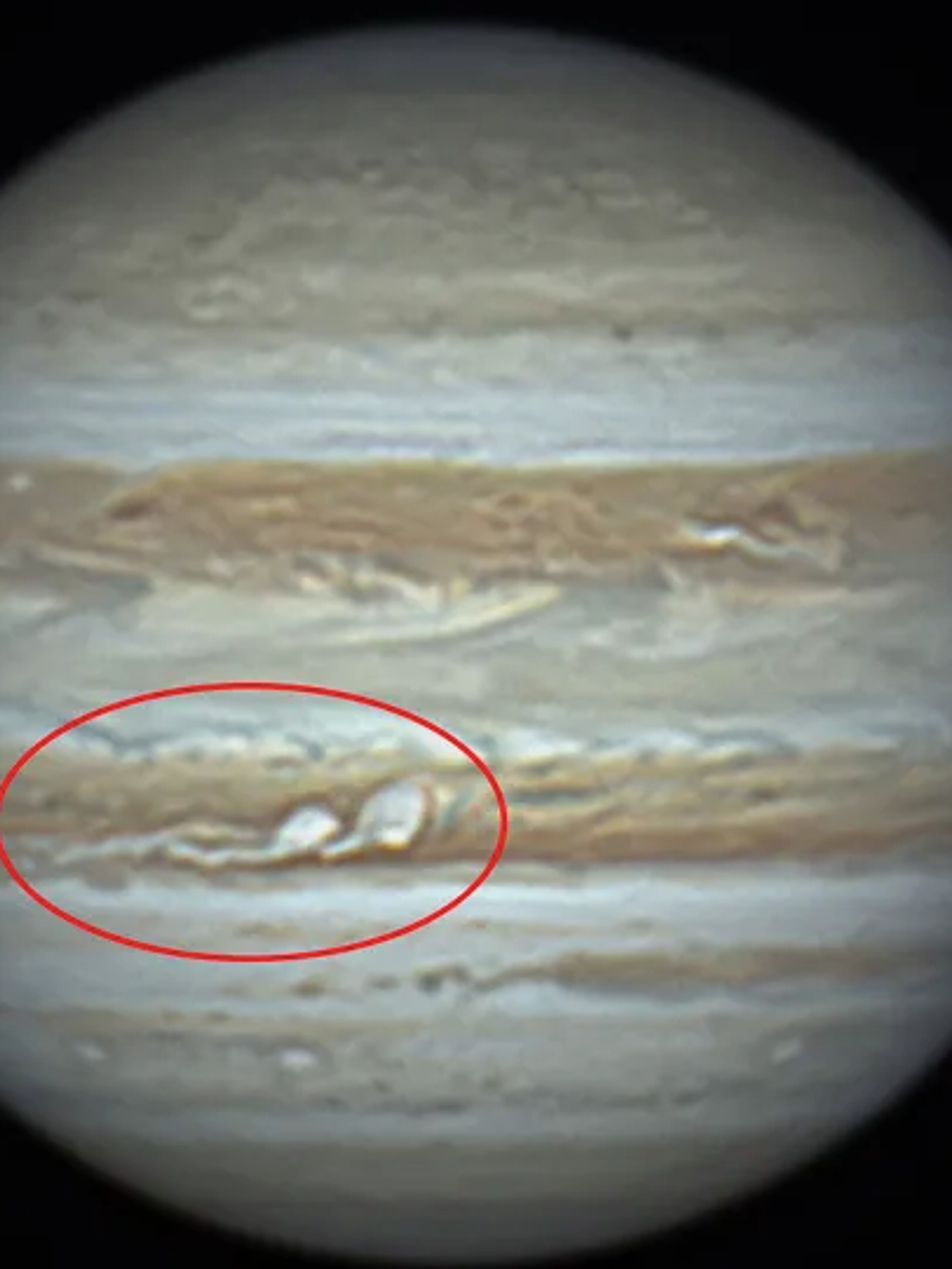 The image shows two white marks in Jupiter's South Equatorial Belt which are brown.