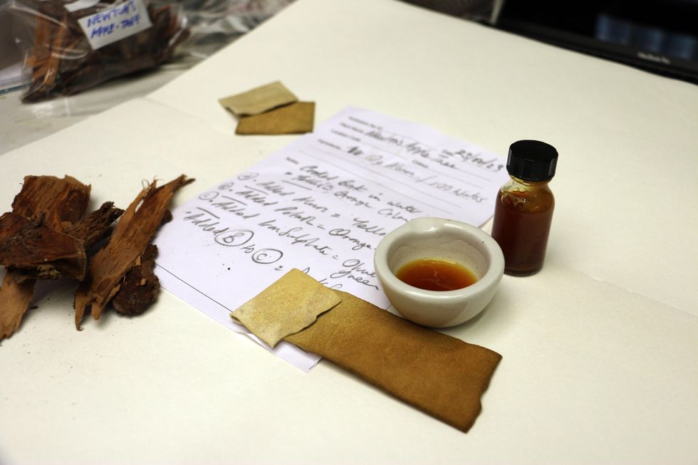 The ink produced from the clone of Newton's apple tree. (Louise Walsh/ PA)