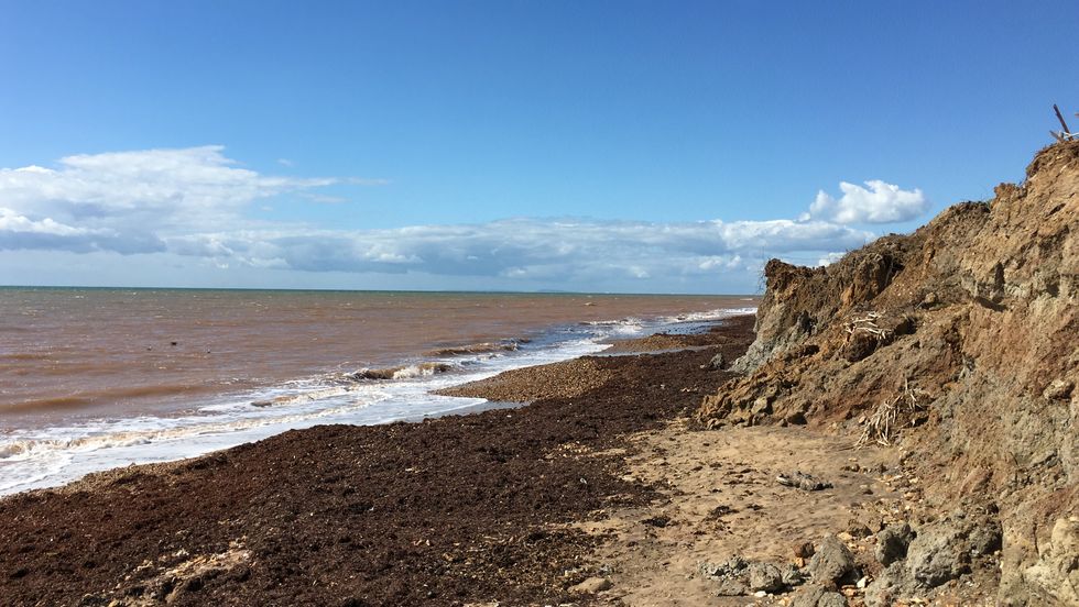 The Isle of Wight has provided a palaeontological gold mine (Chris Barker)