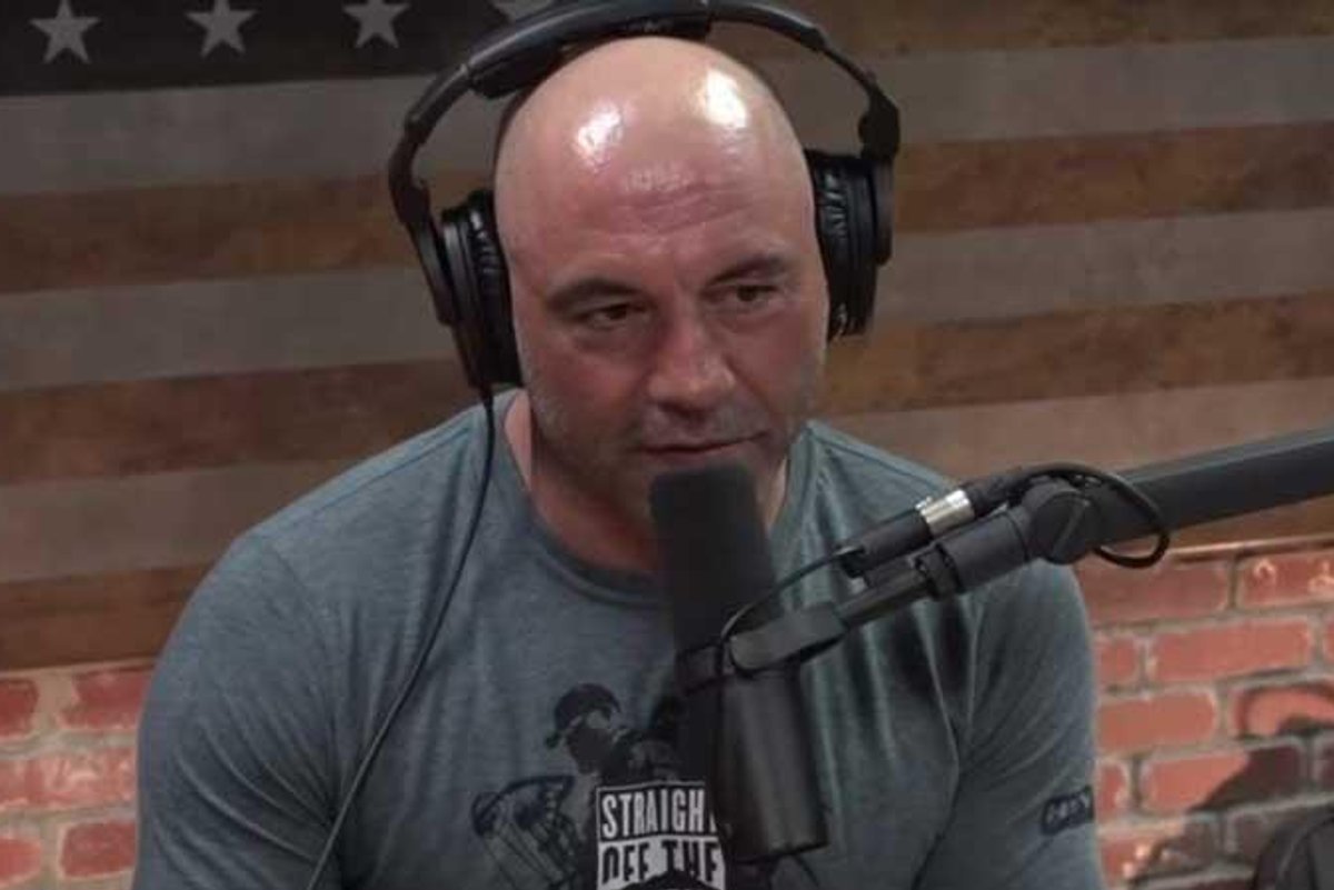 Ice Lollies | indy100