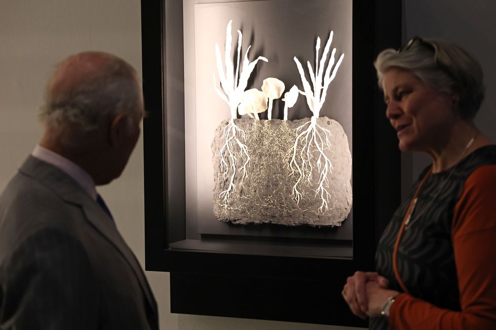 King’s ‘incredible sense of curiosity’ praised during visit to soil exhibition