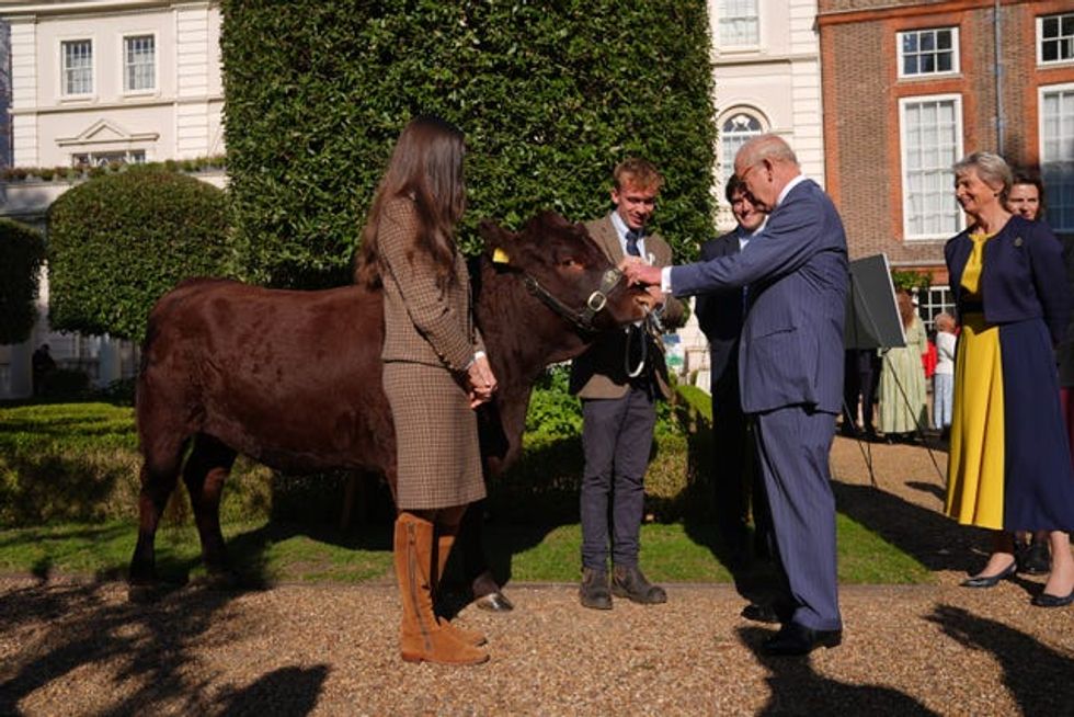 The King meeting Poppy the cow outside Clarence House
