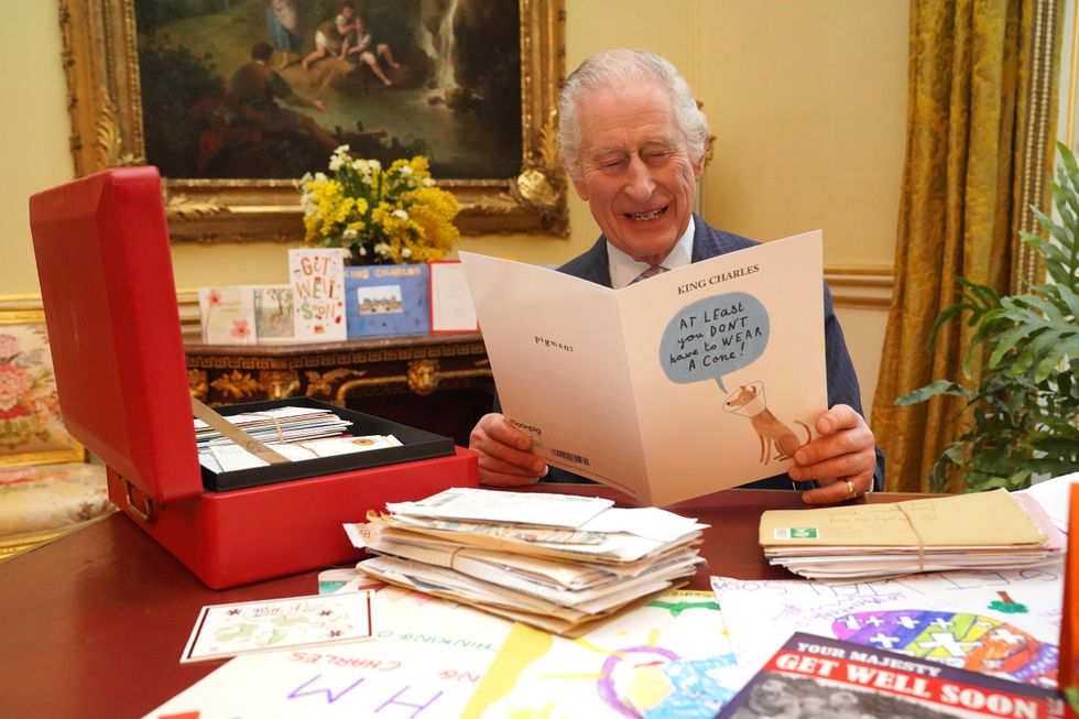 King amused by well-wisher’s card showing disgruntled cone-wearing dog