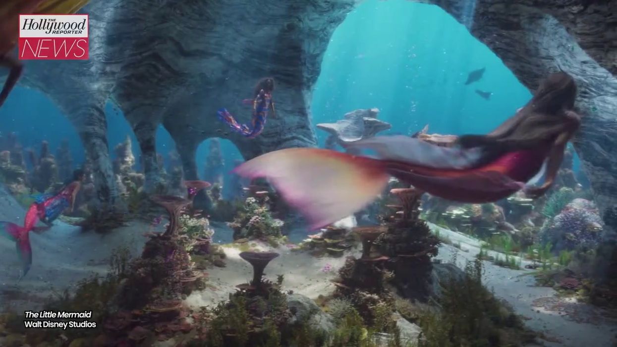 Is this what Flounder in the new Little Mermaid actually looks like?