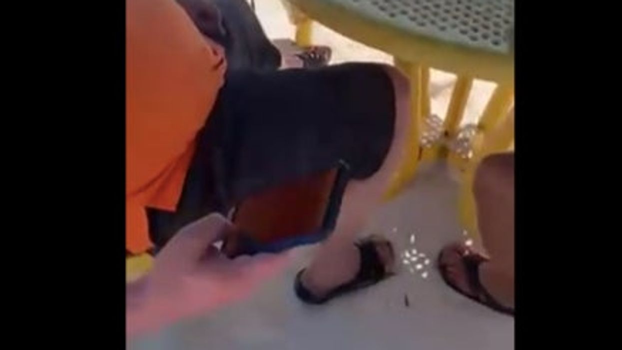 <p>The man unlocks his phone, revealing a photo of a female standing in the water, wearing a bikini</p>