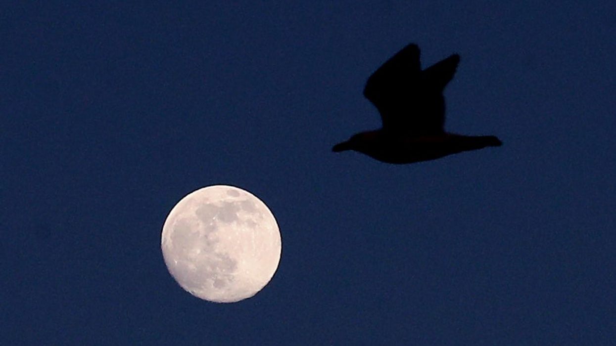 A 'supermoon' is on its way - here's how to take great photos of it