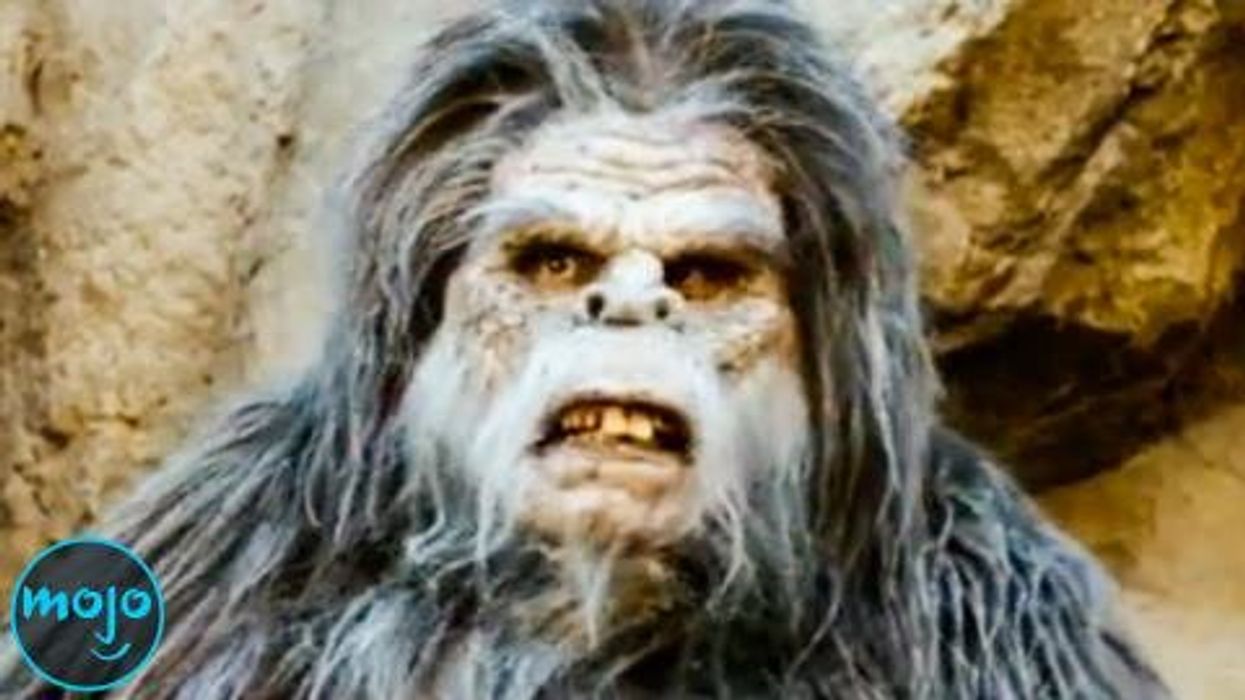 New photo of 'baby Bigfoot' claimed to be '99.9 per cent believable'