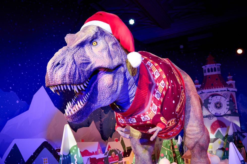 Santa Jaws is coming to town to launch museum’s sustainable Christmas jumper
