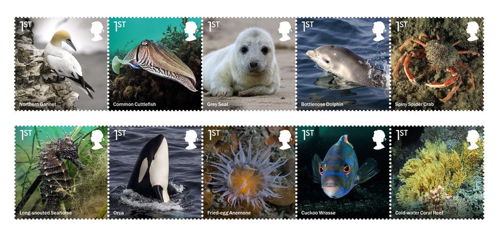 The new stamp collection