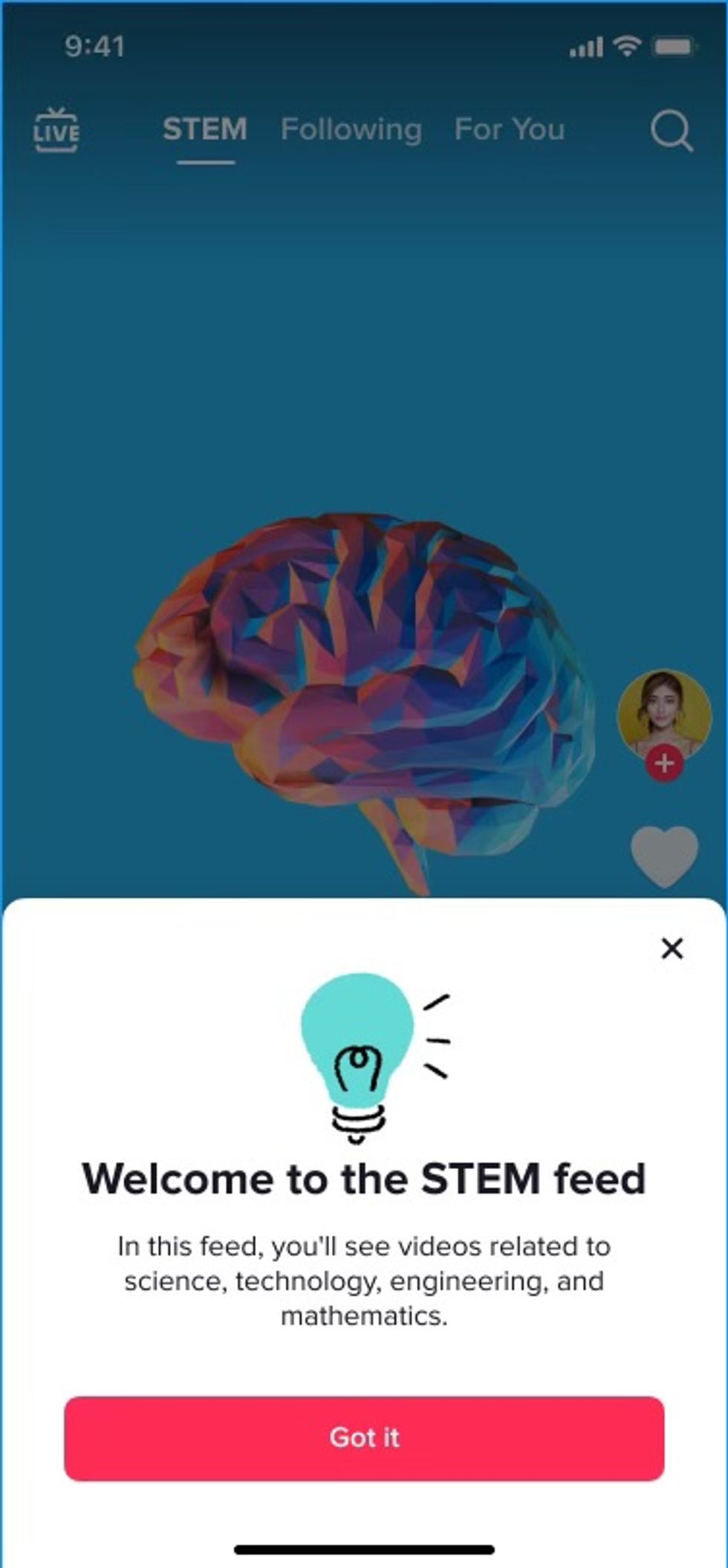 The new TikTok Stem feed