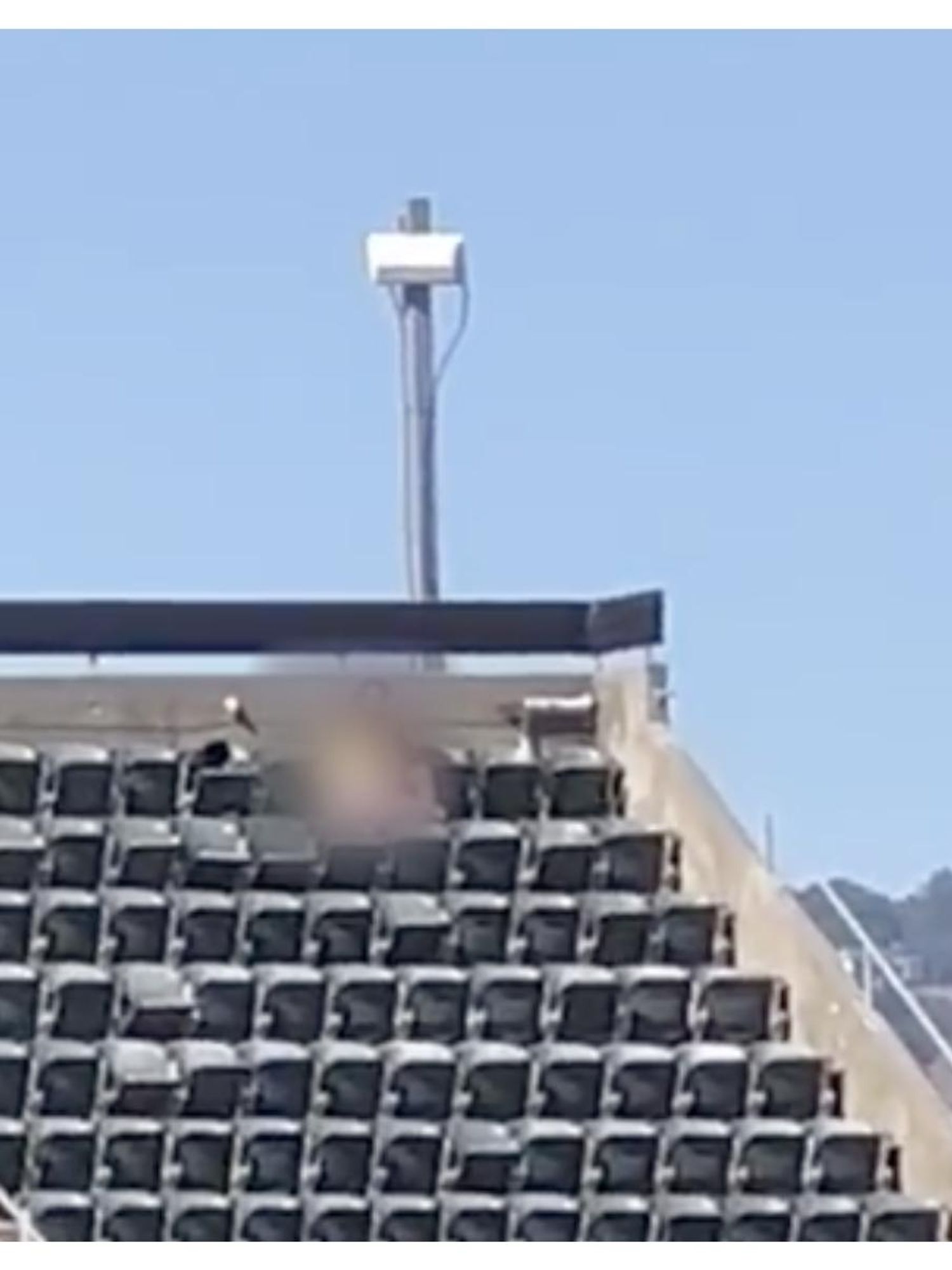 Couple 'spotted engaging in sex act at Oakland Athletics game'