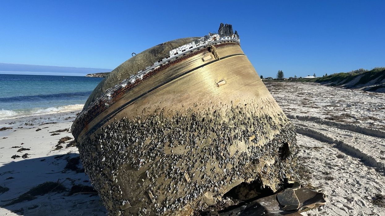 Online sleuths uncover identity of mysterious object on Australian beach