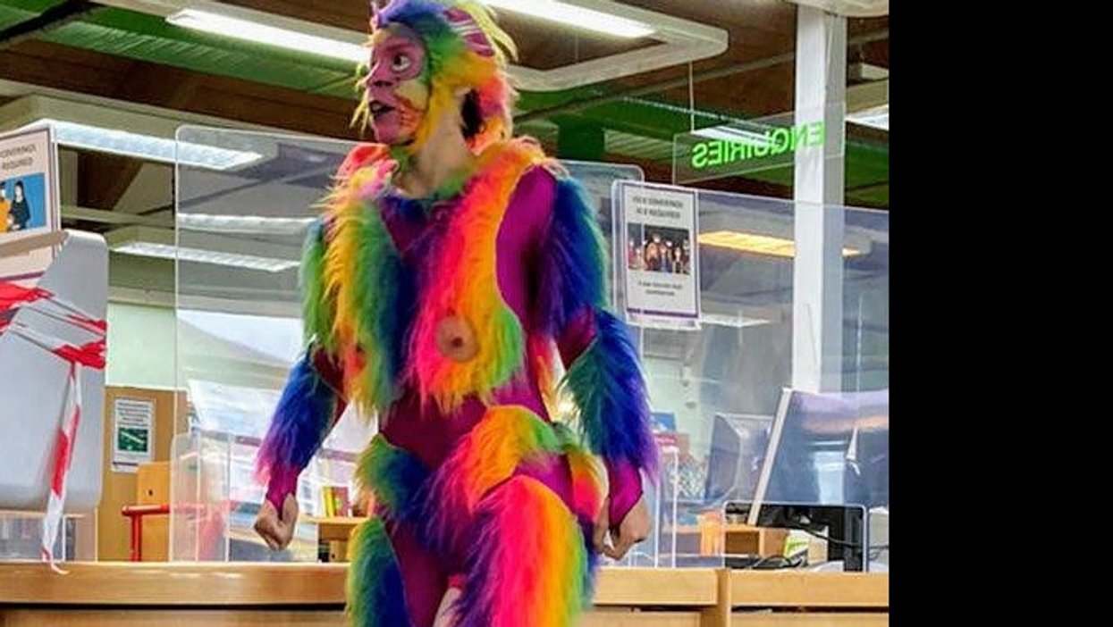 <p>The offending monkey</p>