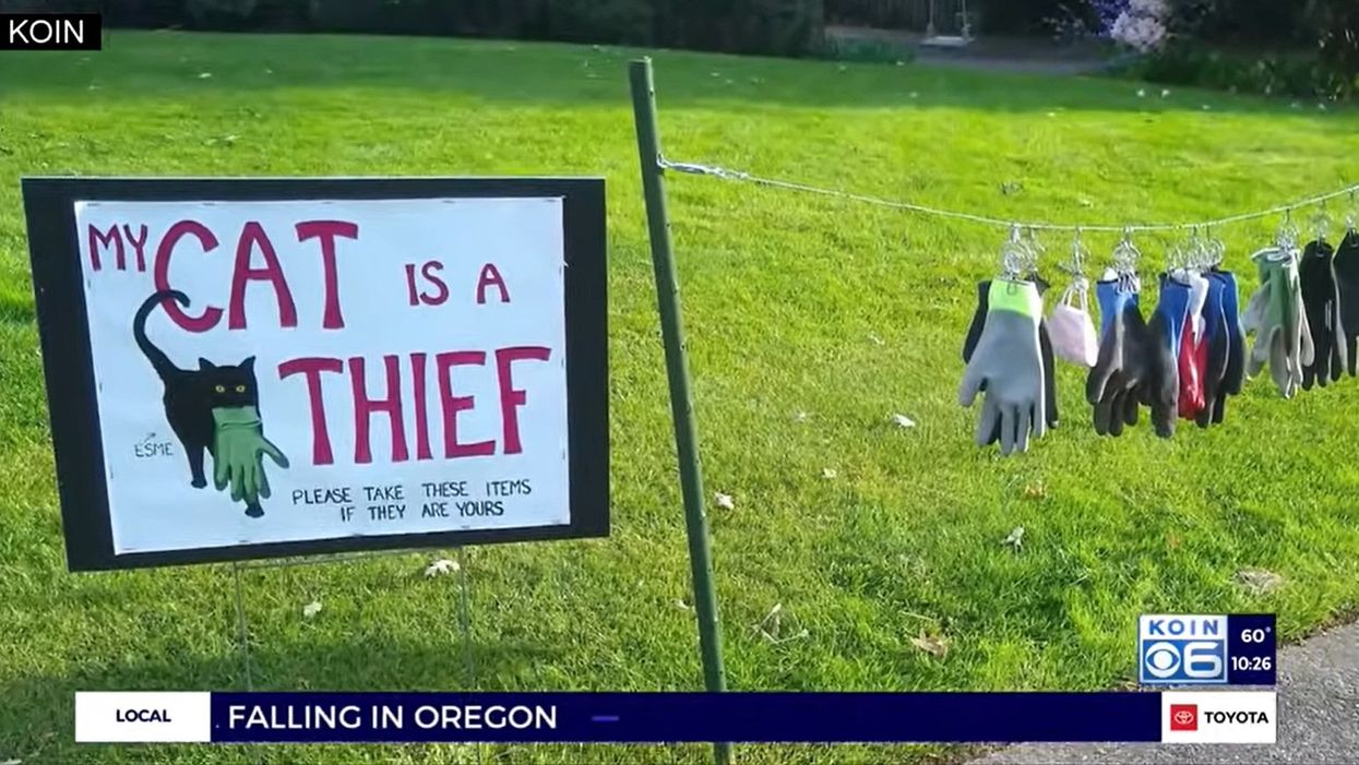 <p>The owner’s sign attracted a lot of amusement </p>