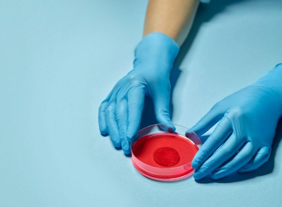 The patch of heart tissue contracts like the heart muscle does when it beats (Saatchi & Saatchi London \u2013 Alan Clarke/PA)