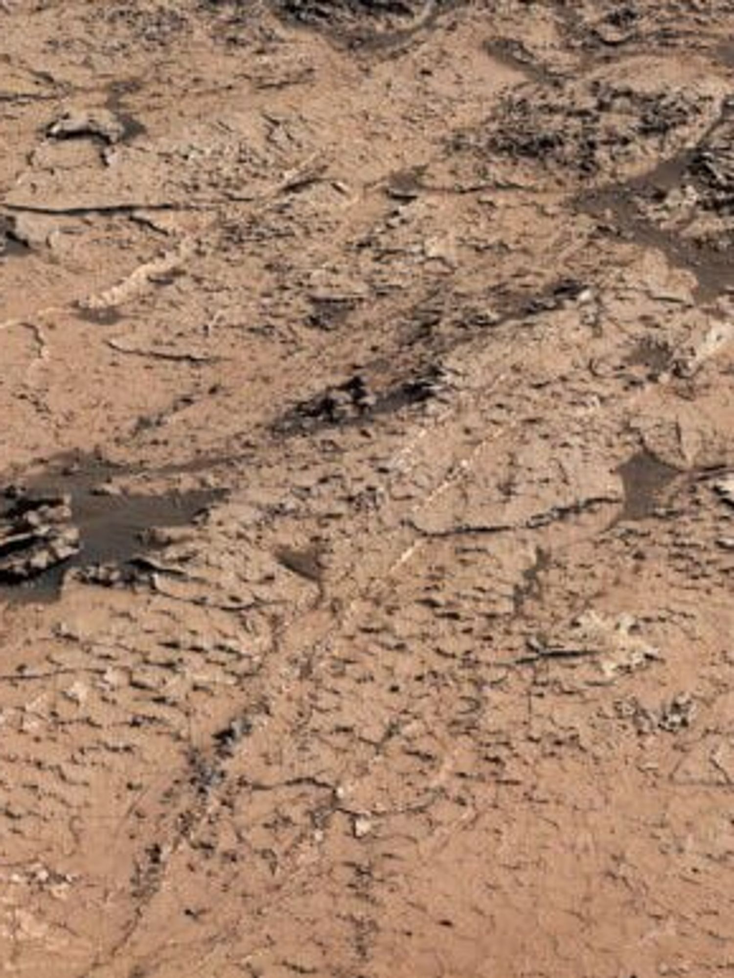 New Mars discovery has experts believing there could be 'life' on red planet