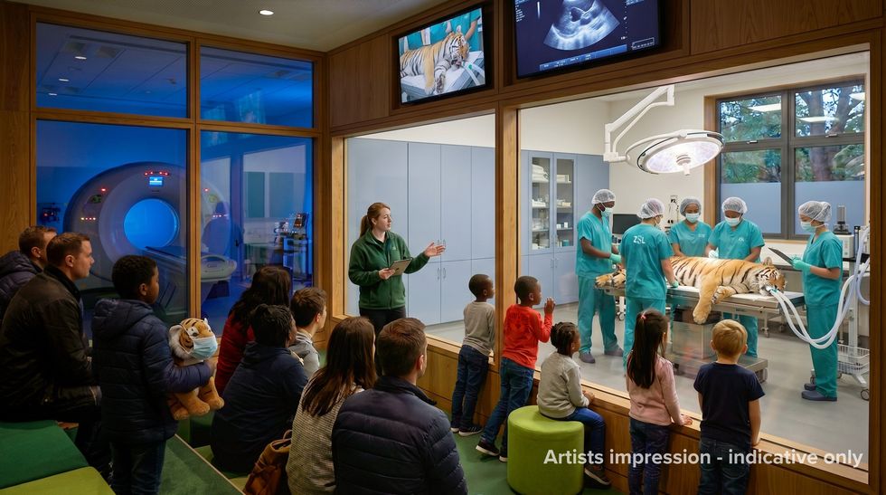 Public able to view vets in action at ZSL’s planned wildlife health centre
