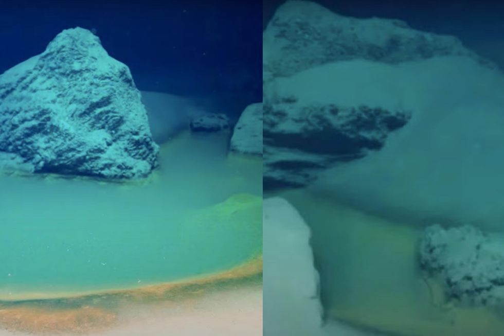 Descubre el ‘Death Pool’ en el fondo del mar que mata todo al instante