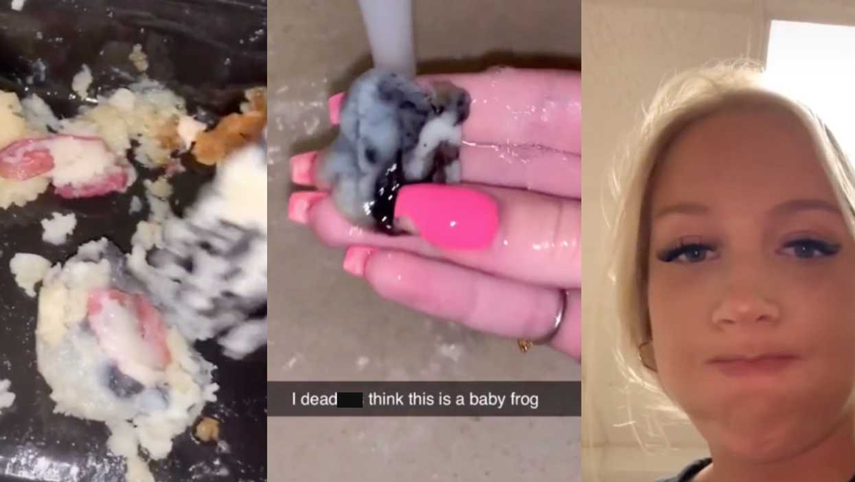 <p>The potential frog was discovered covered in mashed potato </p>