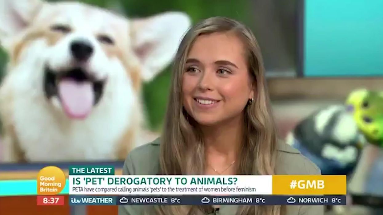 PETA protestors BBQ a 'baby' in a bid to get people to eat less meat