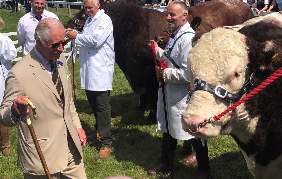 The Prince of Wales meets 1,550kg champion Hereford Bull Moralee One Rebel Kicks during a visit to the Great Yorkshire Show