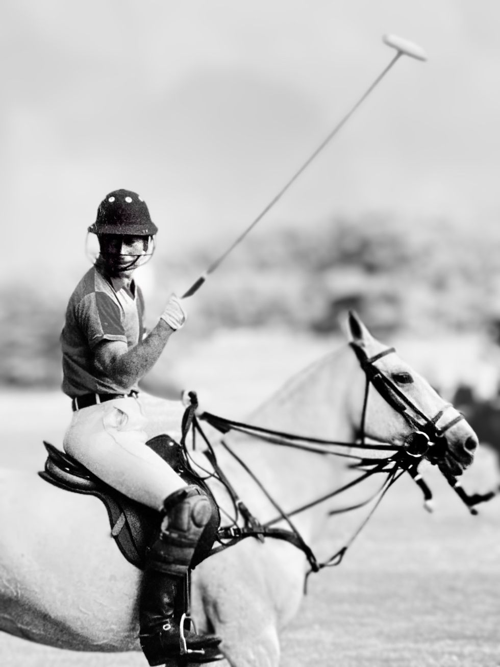 The Prince of Wales playing polo by Gilbert from London in the 1980s